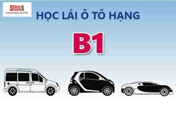 Các loại bằng lái xe ô tô - Bằng B1