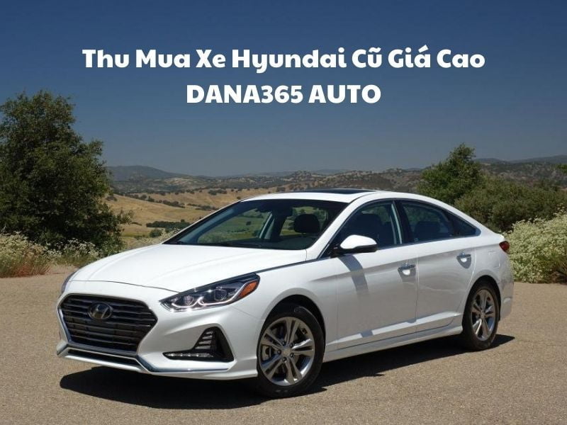 Dana365 Auto thu mua xe hyundai cũ giá cao