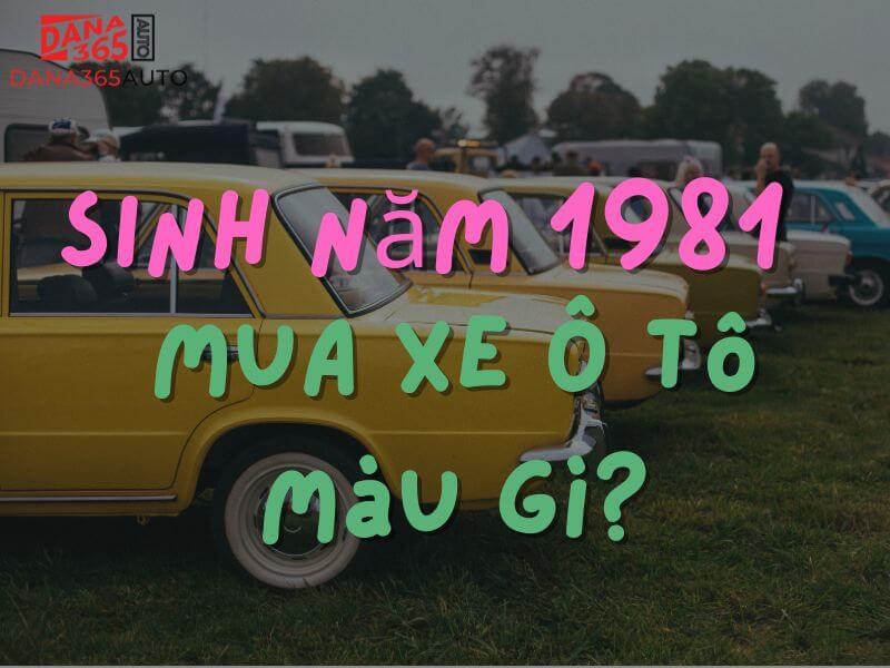 Sinh năm 1981 mua xe ô tô màu gì?