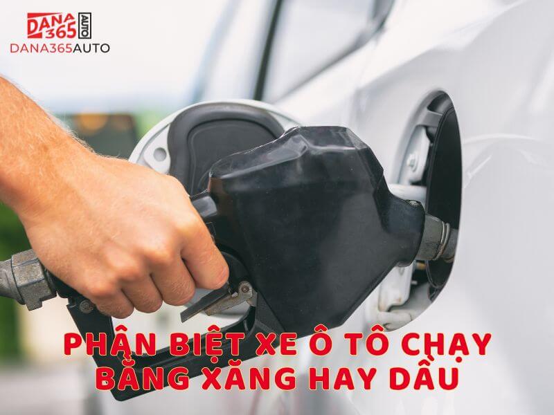 Cách phân biệt xe ô tô chạy xăng hay dầu